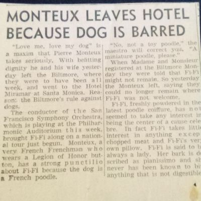 Fifi Monteux: "Monteux leaves hotel because dog is barred"