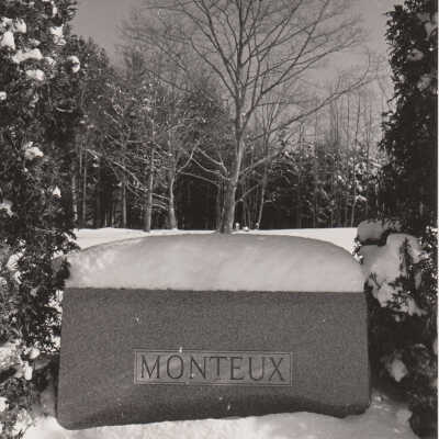 Print, Photographic