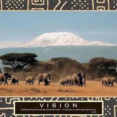 Vision