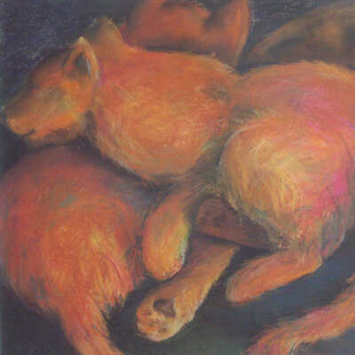 Untitled (Foxes)