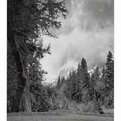 El Capitan, Yosemite National Park
