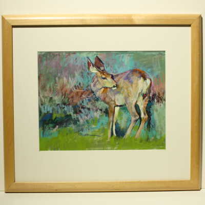 Doe In Morning #2