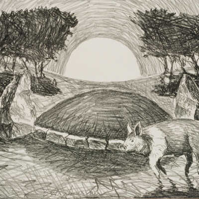 Pig