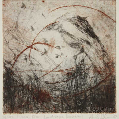 Where I come From: Landscape Variations