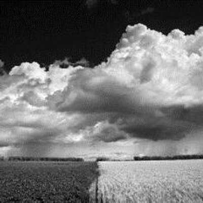 Grand Forks County