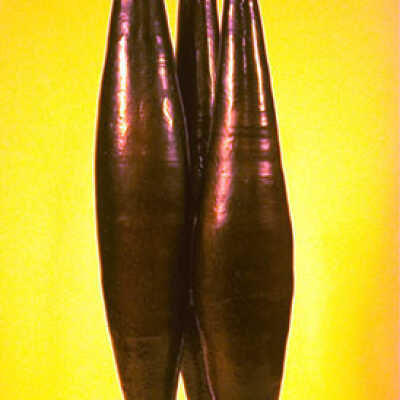 Untitled (3 vessels)