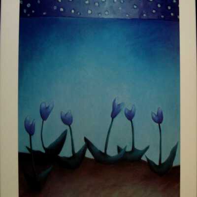 Blue Tulips