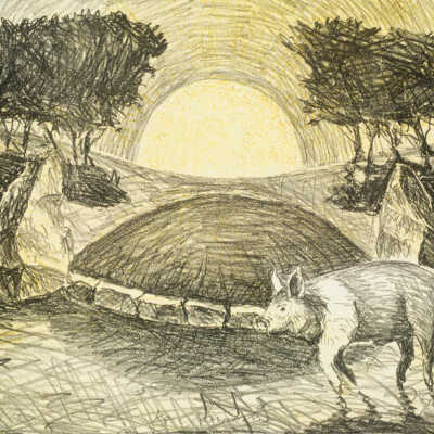 Yellow Pig
