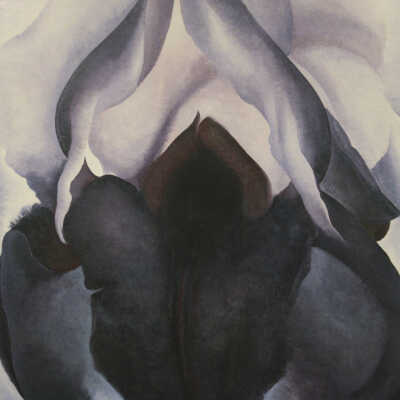 Black Iris