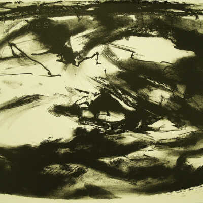 Northern Sky
