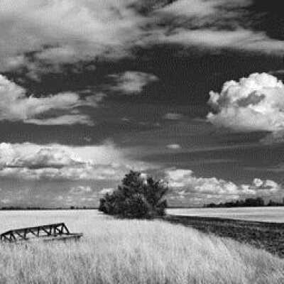 Grand Forks County