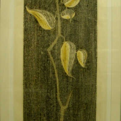 Milkweed