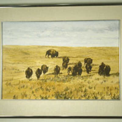 Dakota Prairie