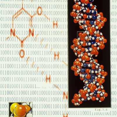 Binary Thumbprint