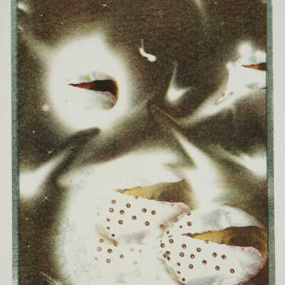 Hatching Hypothesis