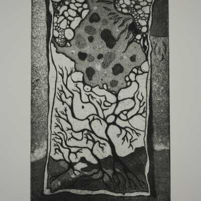 Tree #19