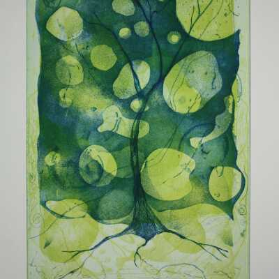 Tree #6