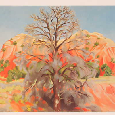 Dead Tree with Pink Hill