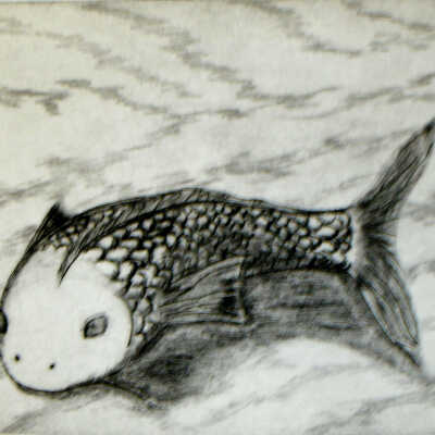 Koi