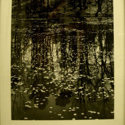 Little Scotia Pond