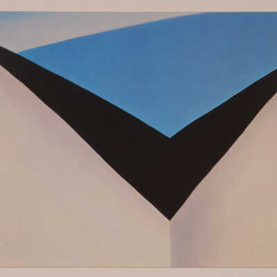 Black Bird Series