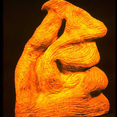 Untitled (cat head)