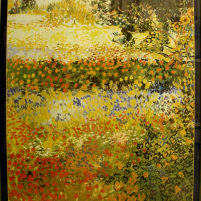 garden of flowers