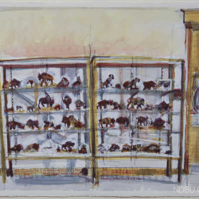 Belling Bison Collection