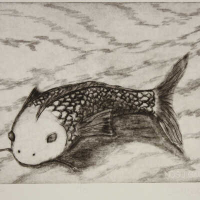 Koi