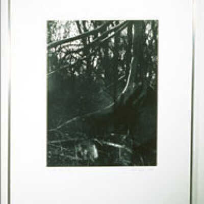 Resting Place II