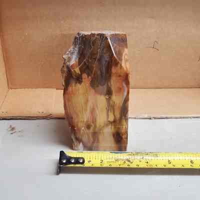 Petrified Wood Freeform