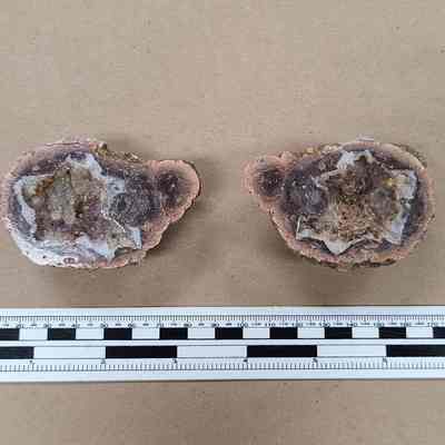 Thunderegg