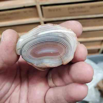 Botswana Agate Lot