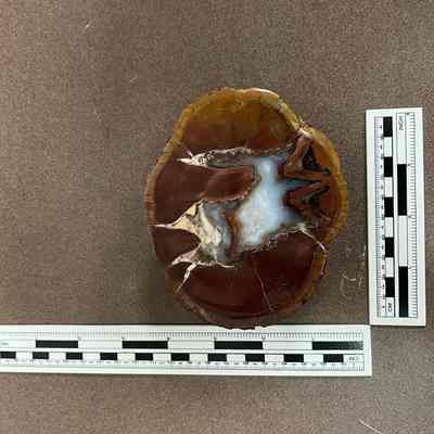 Cat in a Thunderegg