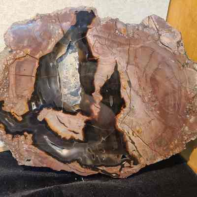 Thunderegg