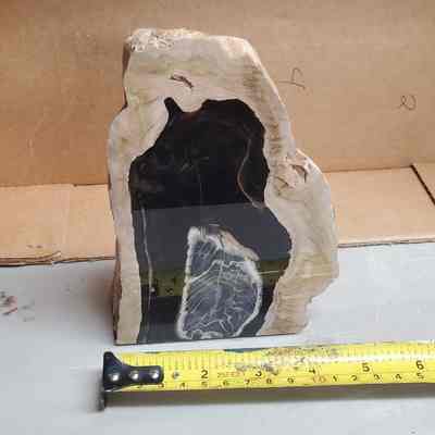 Petrified Wood