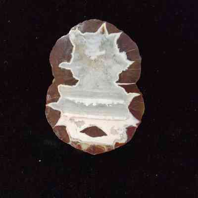 Thunderegg
