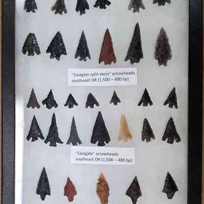 Projectile Point Board