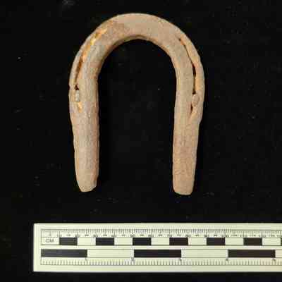 Donkey Shoe