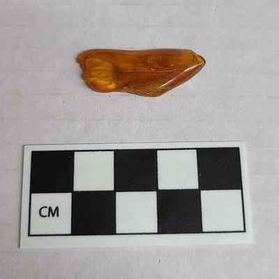 Amber