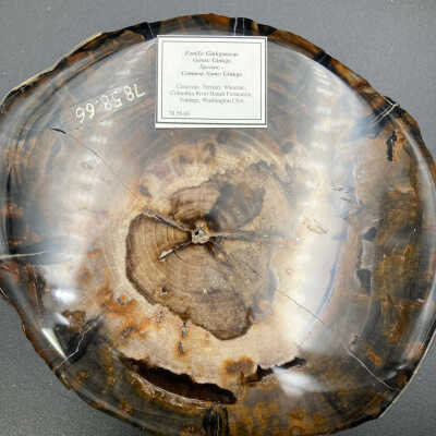 Back of polished side with attached ID.