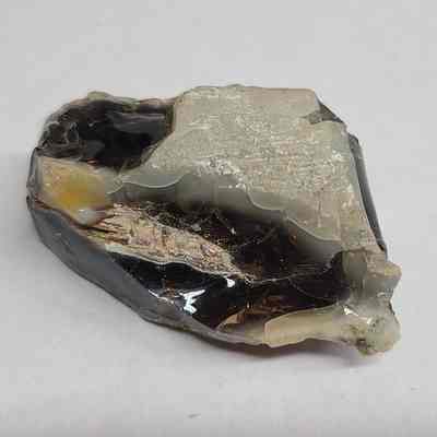 Opalized Petrified Wood