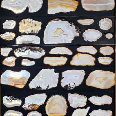 3rd board from the bottom on the left side