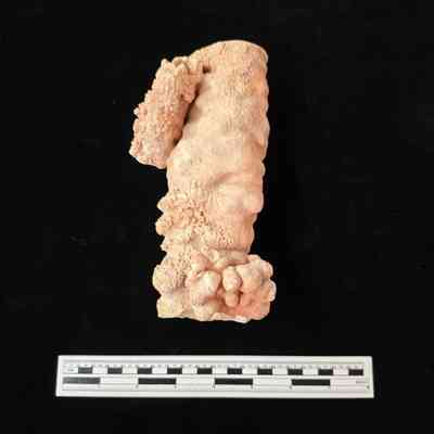 Stalactite