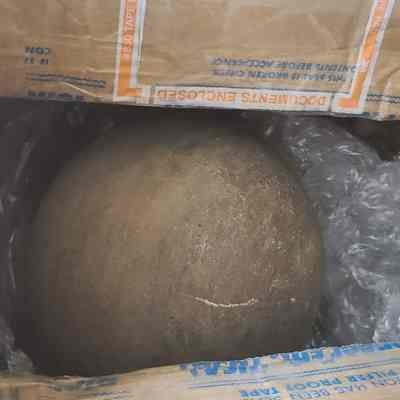 Dinosaur Egg