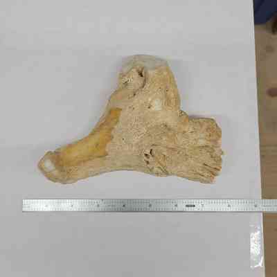 Limb cast