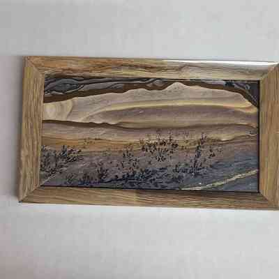 Biggs Jasper in Petrified Wood Frame