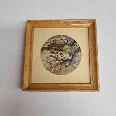 Jasper in Frame