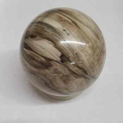 Petrified Wood Sphere