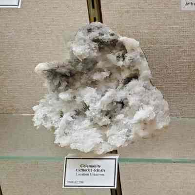 Colemanite